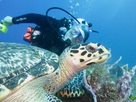 Cozumel 2013